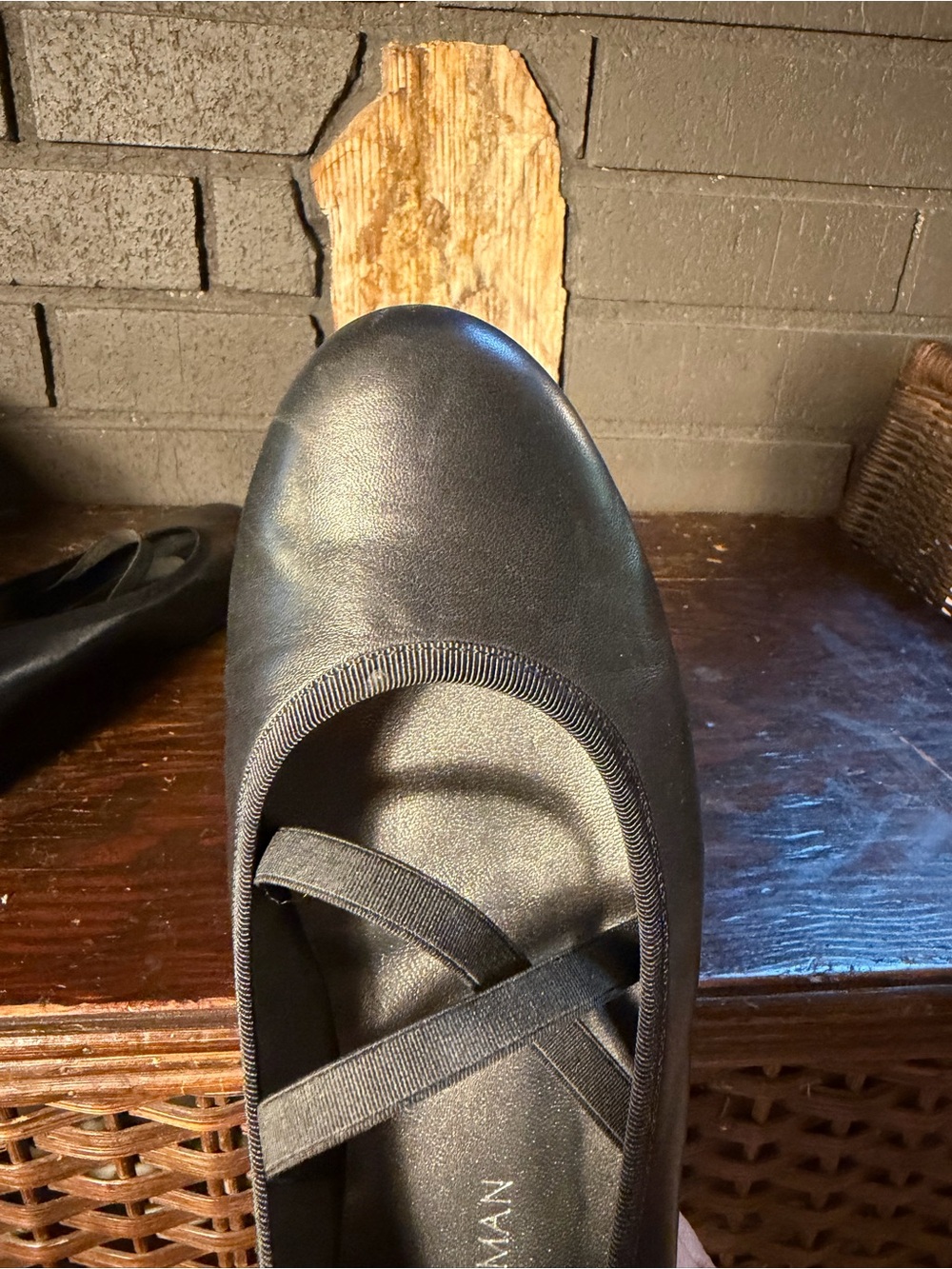 Stuart Weitzman Bolshoi Ballet Flats with Ankle Ties - Picture 7 of 8